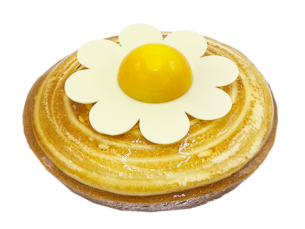 Abrikozen-rijstevlaai