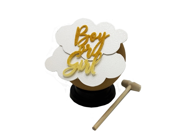 Gender Reveal Bol van Chocolade